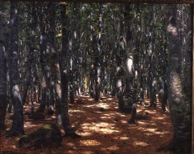 Floresta iluminada pelo sol de Hans Andersen Brendekilde