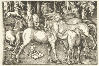 Grupo de sete cavalos e um macaco de Hans Baldung Grien
