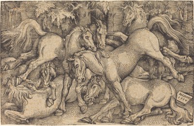 Grupo de sete cavalos na floresta de Hans Baldung Grien