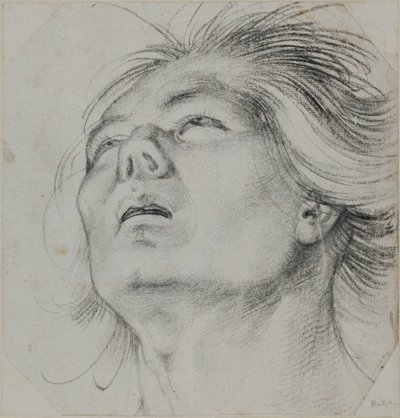 Cabeça de um jovem, vista de baixo de Hans Baldung Grien