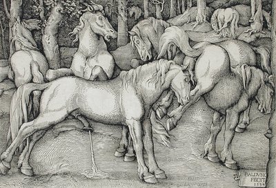 Garanhão e égua a coicear no meio de um grupo de cavalos selvagens na floresta de Hans Baldung Grien