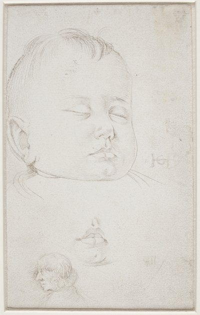 A cabeça de um menino pequeno em perfil de três quartos, a boca entreaberta do menino e de Hans Baldung Grien