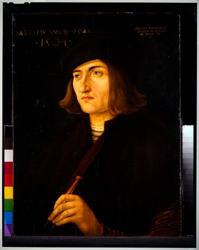 Retrato de um homem (painel) de Hans Burgkmair