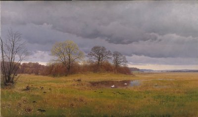 Paisagem de primavera com pancadas de chuva. Zelândia do Sul de Hans Friis