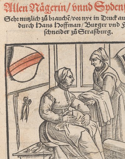 Novo livro modelo para todas as páginas de rosto de Nägerin e Sydenstickern, 1r, 1556. de Hans Hoffman