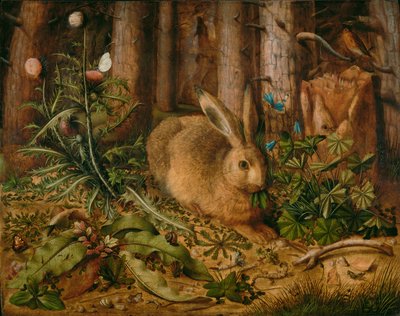 Uma lebre na floresta de Hans Hoffmann