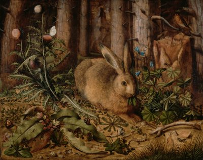 Uma lebre na floresta de Hans Hoffmann