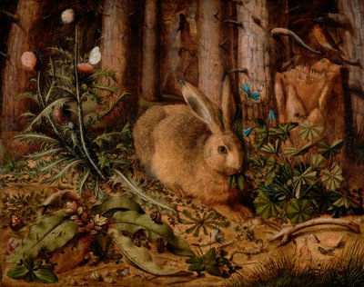Uma lebre na floresta, c. 1585 (óleo no painel) de Hans Hoffmann