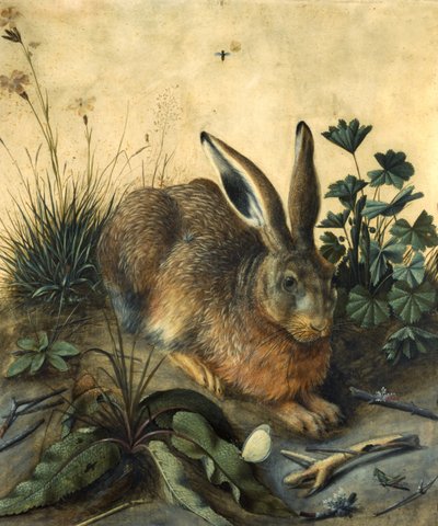 Lebre de Hans Hoffmann