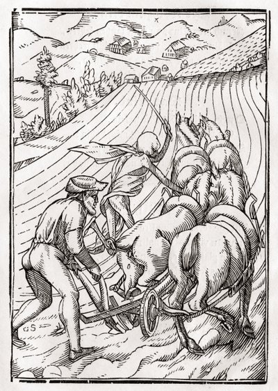 A morte chega para o fazendeiro ou lavrador, gravada por Georg Scharffenberg, de &39;Der Todten Tanz&39;, publicada em Basel, 1843 de Hans Holbein der Jüngere
