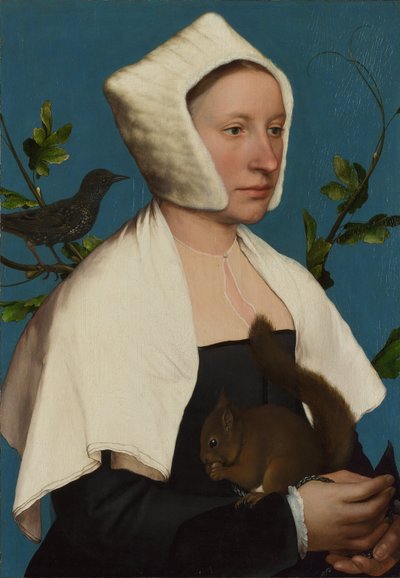 Uma senhora com um esquilo e um estorninho (Anne Lovell)  de Hans Holbein the Younger
