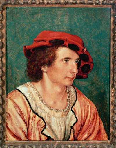 Retrato de um jovem de Hans Holbein the Younger