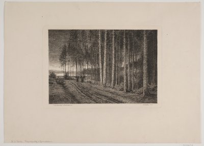 Dia chuvoso na floresta de abetos de Hans Julius Fæster