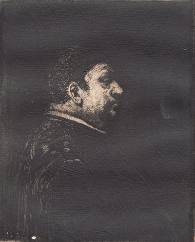 "Modelos Reimers" de Hans Nikolaj Hansen