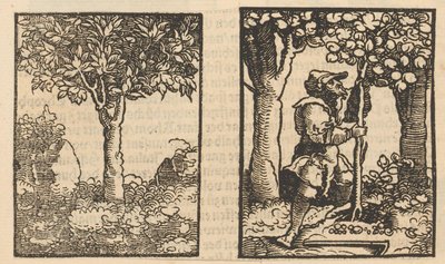 Árvore e representação de um colhedor de fruta entre árvores de Hans Schäufelein (possibly)