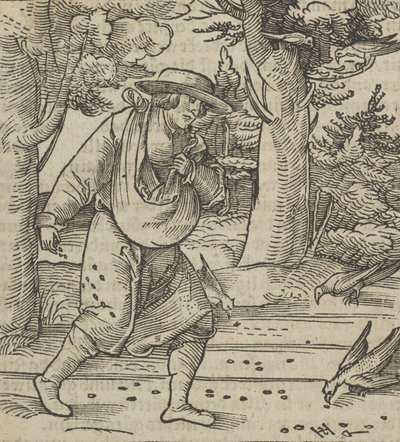 Os pássaros comendo as sementes do semeador, de Hymmelwagen auff dem, wer wol Leben..., 1517. de Hans Schäufelein the Elder