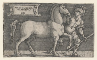 Alexandre, o Grande Bucéfalo Principal, c.1531-1550 (gravura) de Hans Sebald Beham