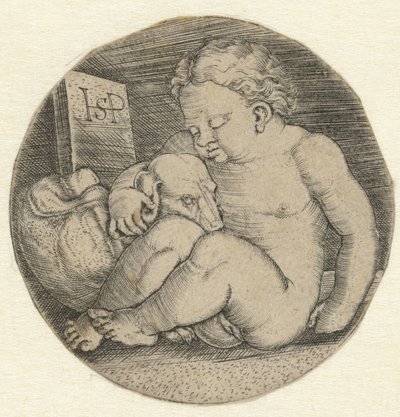 Rapariga nua com um cão de Hans Sebald Beham