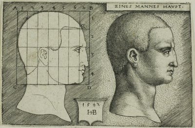 Estudo de perfil da cabeça de um homem de Hans Sebald Beham