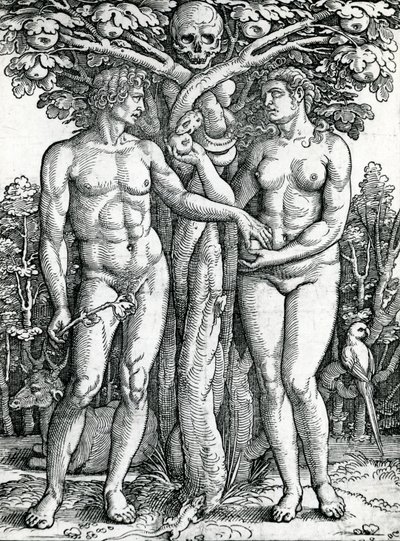 A queda de Adão e Eva, c.1525-27 (xilogravura) de Hans Sebald Beham