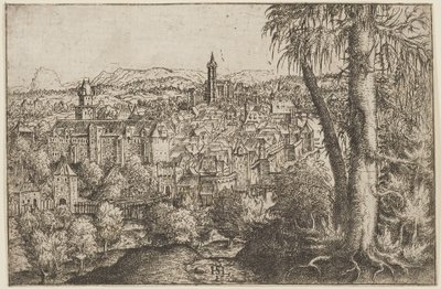 Vista de Steyr an der Enns de Hans Sebald Lautensack