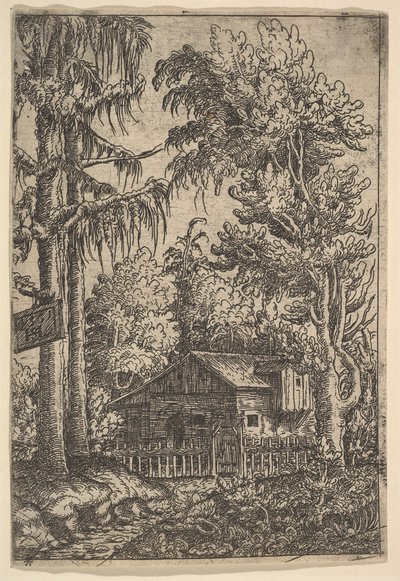 Cabine entre árvores, 1551. de Hans Sebald Lautensack