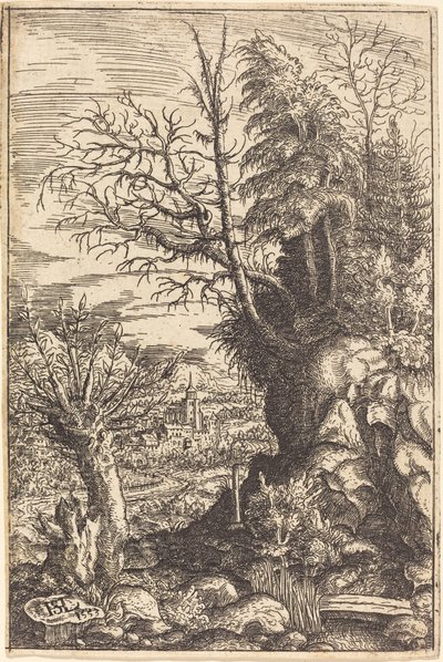 Paisagem com salgueiro, 1553. de Hans Sebald Lautensack