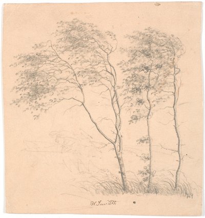 Tres arvores de Hans Smidth