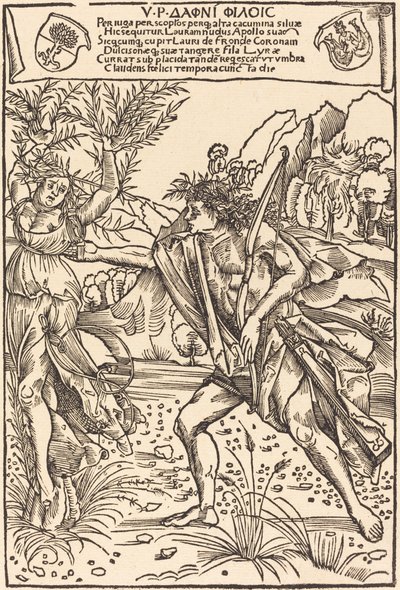 Apolo e Dafne de Hans Süss von Kulmbach