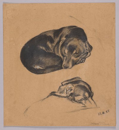 Zwei Studien eines schlafenden Dackels de Hans Thoma