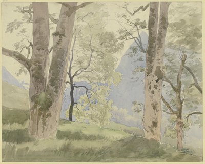 Paisagem da Floresta Negra: vista das montanhas a partir da orla da floresta de Hans Thoma