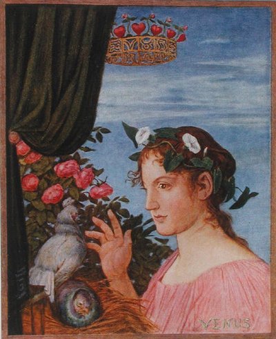 Vénus, ilustração de 