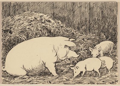 Ilustração do manual: Porco de Hans Thoma