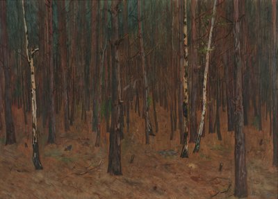 Waldinneres de Hans Tichy