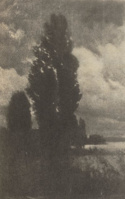 Trabalho de câmera: Choupos e Nuvens, 1906. de Hans Watzek