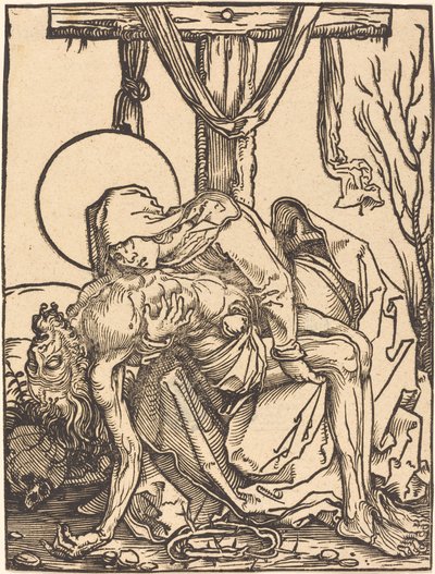 Compaixão de Hans Weiditz, II