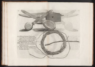 Ilustração da viagem para a ilha Madera, Barbados ... Vol.2, 1815 de Hans after Sloane