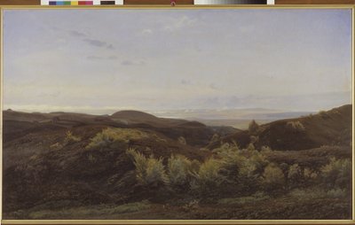 Heather Hills perto de Rye, Jutlândia de Harald Foss
