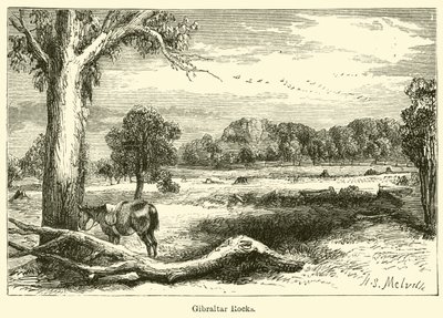 Rochas de Gibraltar (gravura) de Harden Sidney (after) Melville