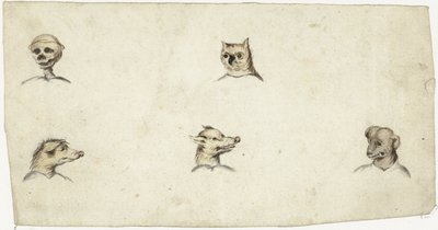 Cabeças de quatro animais e um esqueleto de Harmen ter Borch