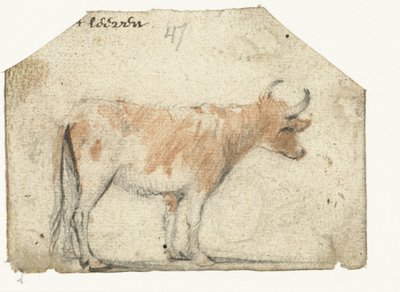 Vaca, do lado de Harmen ter Borch