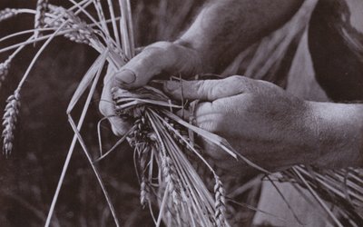 Fazendo faixas de palha (foto em preto e branco) de Harold Burdekin