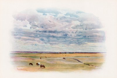 A pradaria em Elstow, Saskatchewan de Harold Copping