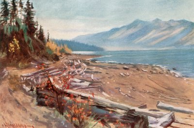 Vista da margem do Lago Kootenay de Harold Copping