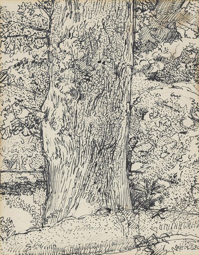 Árvore, 1916 de Harold Gilman