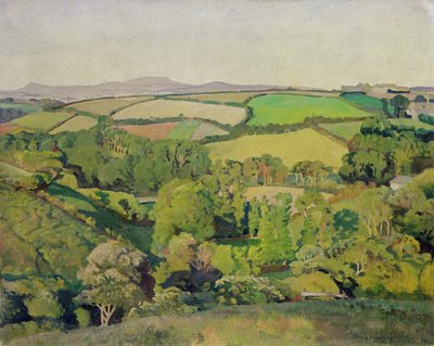 Drift Valley (óleo sobre tela) de Harold Harvey