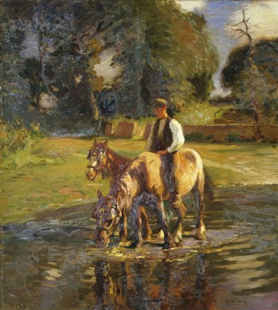O local de rega de Harold Harvey