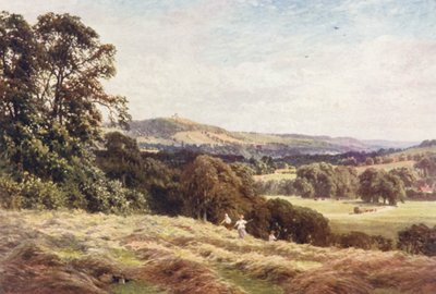 A Hayfield, Wonersh (litografia a cores) de Harold Sutton Palmer
