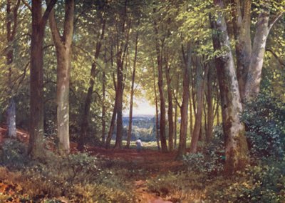 Deer-Leap Wood, Wotton (litografia a cores) de Harold Sutton Palmer
