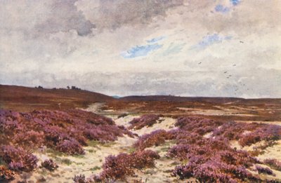Frensham Common (litografia a cores) de Harold Sutton Palmer